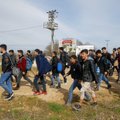 Греция задержала 10 тысяч мигрантов на границе с Турцией