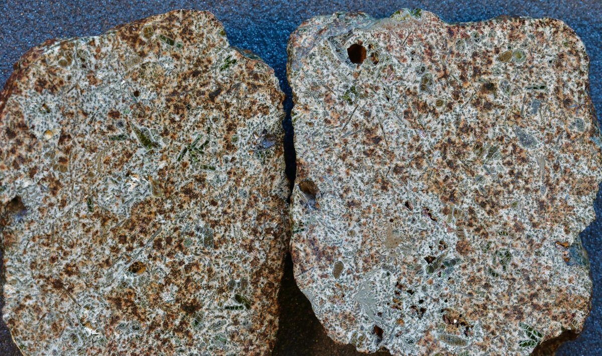 Erg Chech 002 meteoritas. Australian Nationa University/Nature/Y. Amelin/S. Jurvetson nuotr.