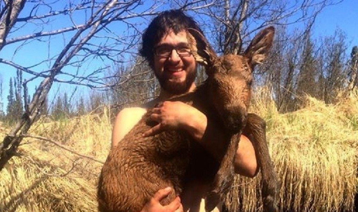 Aliaskos gyventojas išgelbėjo skęstantį briedžio jauniklį