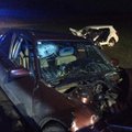 Klaipėdos rajone avarija: automobilio nuolaužos prispaudė moterį, trys žmonės ligoninėje