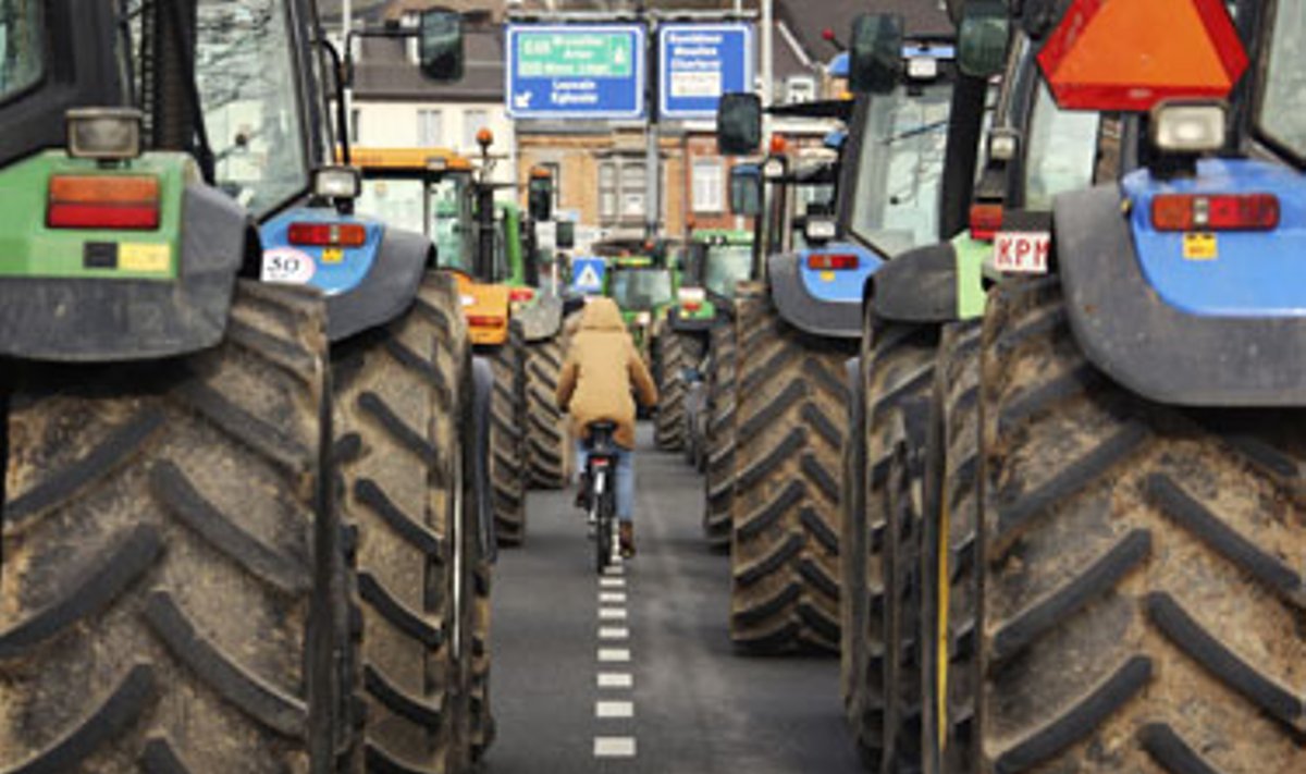 Dviratininkė važiuoja tarp traktorių, užblokavusių didžiuosius kelius. Taip Belgijos ūkininkai reikalauja didesnių subsidijų.