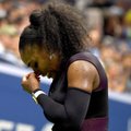 Серена Уильямс не поедет на финал WTA из-за травмы плеча