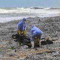 Šri Lankos paplūdimį nuklojo plastiko granulės iš degančio laivo
