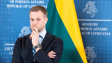 Глава МИД Литвы о включении в российский список персон нон грата: это – особая награда
