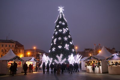 Kalėdų eglutė Vilniaus Katedros aikštėje 2014 m.