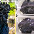 Neįtikėtina – juodos ne tik šios vištos plunksnos, bet ir mėsa ir net kaulai: kas tai nulėmė?