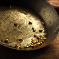 Kai auksas atima protą: 10 aukso karštinių, pakeitusių pasaulio istoriją