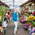Prieš Rugsėjo 1-ąją gėlių prekeiviai nedžiūgauja: žmonės nebeturi pinigų