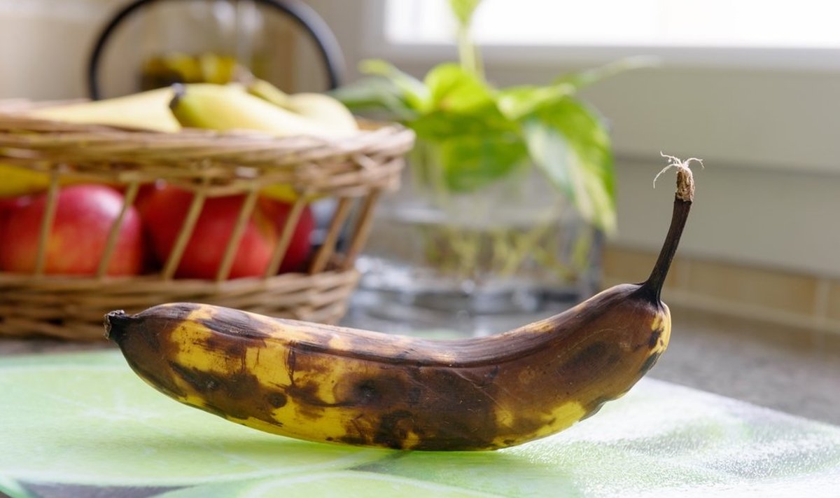 Pernokę bananai 