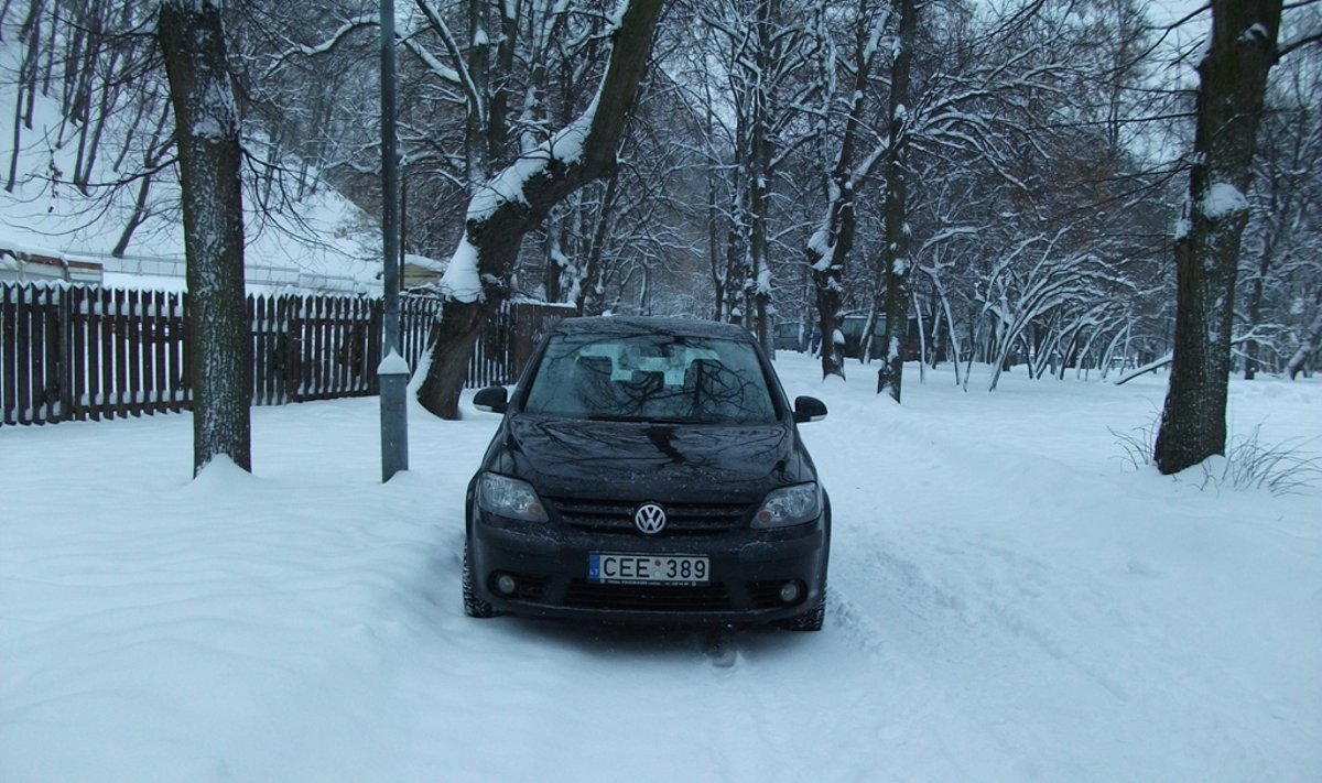 Vilniuje, Sereikiškių parke. 2010-12-31