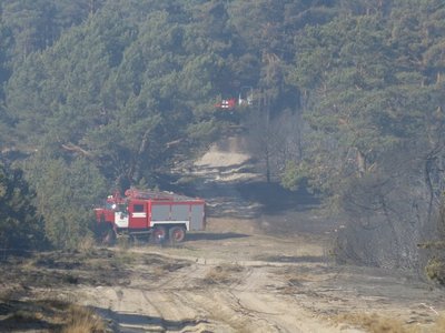 Sausra kelia didžiulį pavojų miškų gaisrams