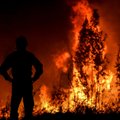 ВИДЕО | В Калифорнии объявили эвакуацию 200 000 человек из-за пожаров