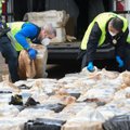 Ispanijos uoste konfiskuotas rekordinis kokaino kiekis – 9,5 tonos