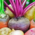 Mitybos specialistė Vaida Kurpienė daržoves pataria rinktis pagal spalvą ir sezoną