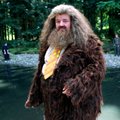 Hagridą įkūnijęs aktorius – neatpažįstamas: „Hario Poterio“ sugrįžime pasirodęs vyras apsiašarojo, susijaudino ir gerbėjai