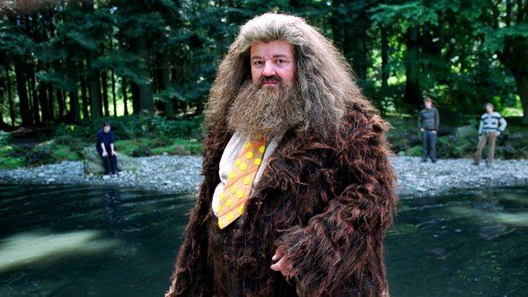 Hagridą įkūnijęs aktorius – neatpažįstamas: „Hario Poterio“ sugrįžime pasirodęs vyras apsiašarojo, susijaudino ir gerbėjai