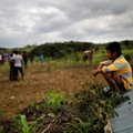 Gvatemaloje per avariją žuvusių indėnų skaičius sumažintas iki 18