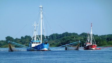 Kuršių mariose nebebus galima naudoti tam tikrų verslinės žvejybos įrankių