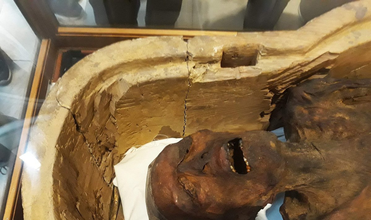 Šaukianti mumija