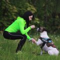 Linksma treniruotė su šuniu