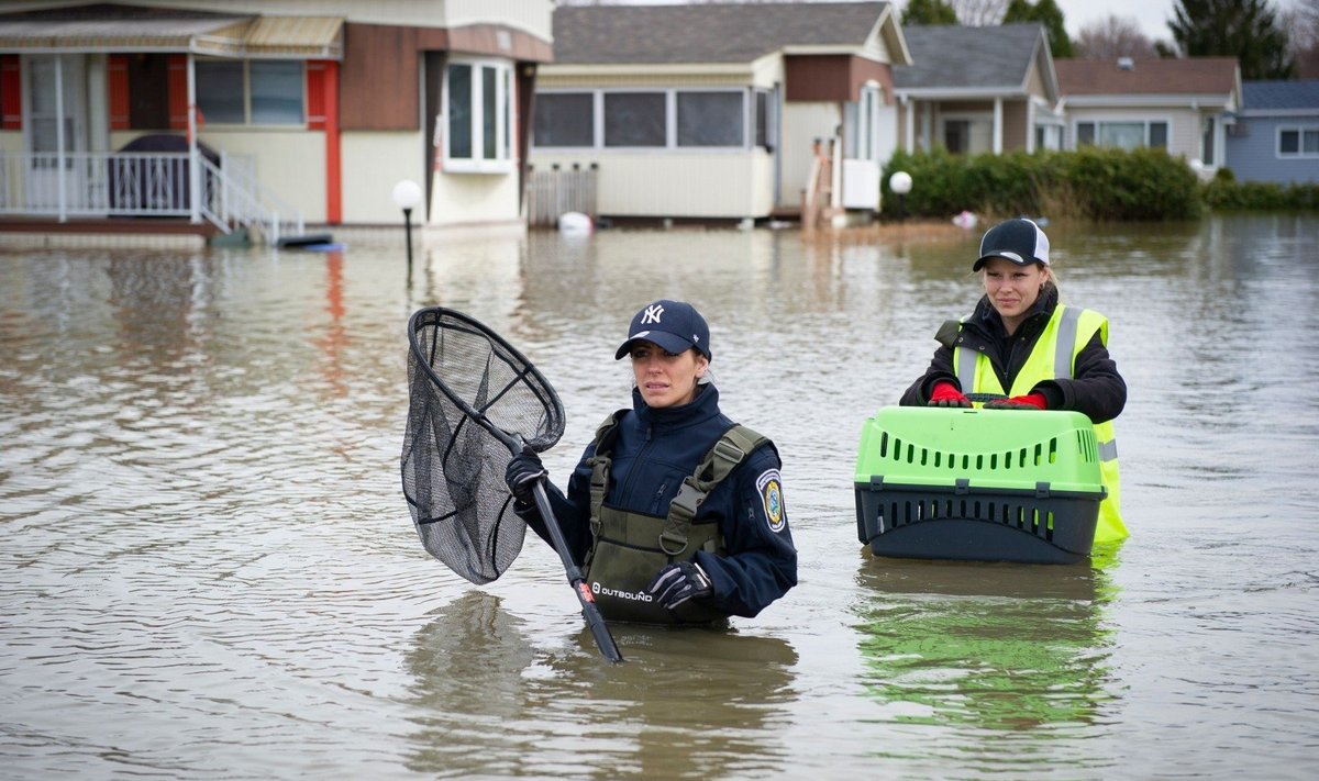 Kanadoje dėl didelių potvynių evakuota per 10 tūkst. gyventojų