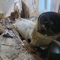 Naktį virš Ukrainos sunaikintos keturios Rusijos raketos
