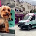 Tuniso sostinėje veikia mobilusis gyvūnų grožio salonas