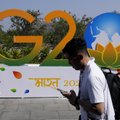 Indija dislokuoja „beždžionių baidykles“, kad per G20 viršūnių susitikimą atbaidytų primatus