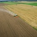 „Agrorodeo“ pardavė grūdų Saudo Arabijai už 29 mln. JAV dolerių