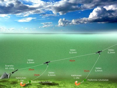 Schema. Plekšnių žūklė Baltijos jūroje