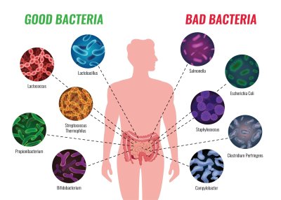 Gerosios ir blogosios bakterijos
