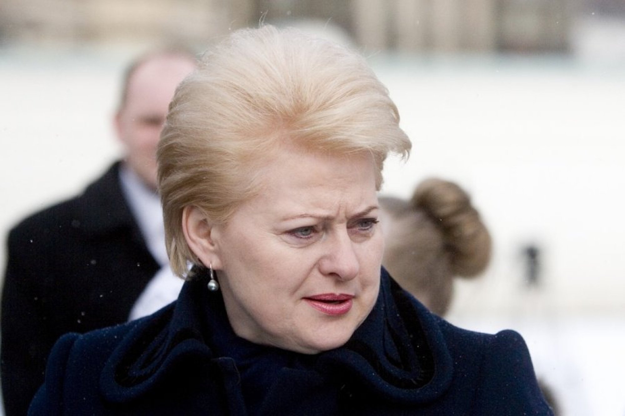 D.Grybauskaitė: Vyriausybės Darbą Vertinsiu Tuomet, Kai Bus Ką Vertinti ...