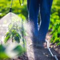 Seimas imasi griežtinti augalų apsaugai naudojamų medžiagų kontrolę