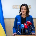 Čmilytė–Nielsen: diskusija dėl Stambulo konvencijos ratifikavimo į Seimą grįš po KT išvados