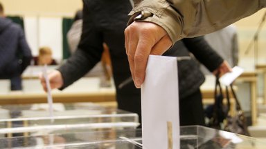 Более 3500 граждан Литвы за границей будут выбирать в ЕП кандидатов страны проживания