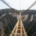 „Įdomioji inžinerija“: kodėl griūna tiltai?