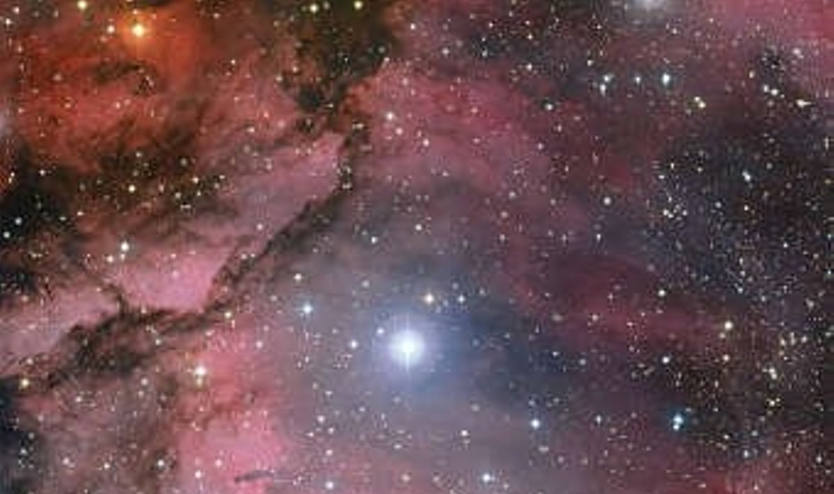Звезда Вольфа-Райе 22 в туманности Киля. Изображение ESO