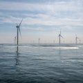 VERT: antrasis konkursas dėl vėjo parko Baltijos jūroje neįvyko