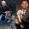 СМИ: после новых санкций Рогозин посмеялся над Обамой