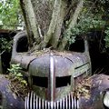 „Senų automobilių mieste“ - stulbinantys vaizdai