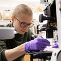 Vilnius University student with team discovers a new cell type
