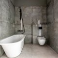 Vonios kambarys: patarimai, kaip šiuolaikiškai ir praktiškai jį įsirengti