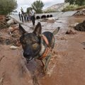 Potvynis JAV nusinešė 15 gyvybių