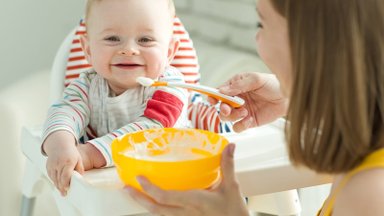 Vaisių ir daržovių tyrelės – pirmasis kūdikių maistas: išmokite pasigaminti namuose