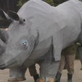 Japonijos zoologijos sodas inscenizavo gyvūnų pabėgimą, pasitelkęs kartoninį raganosį