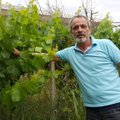 Ūkininkui iš Peloponeso dirbančių tik už maistą ir pastogę netrūksta