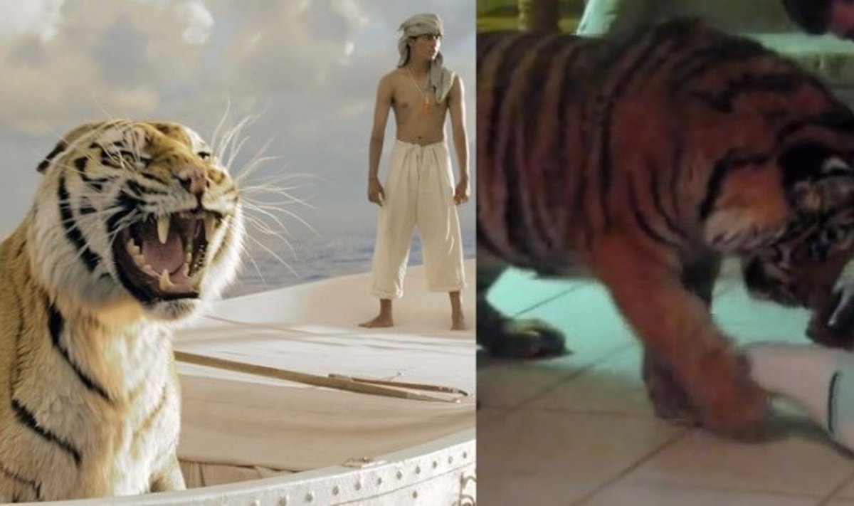 Reuters (filmo plakatas) ir Youtube.com stopkadras - Tigras Jonas namuose ir filmo "Pi gyvenimas" plakate