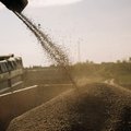 Prarasti Ukrainos grūdai: 8 milijonų tonų juodoji skylė pasaulio statistikoje