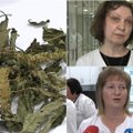 Kauniečiai išrado visiškai naują vaistą iš žolės: tai bus priešnuodis dažniausiai lietuvių ligai