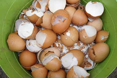 Kiaušinių lukštai
